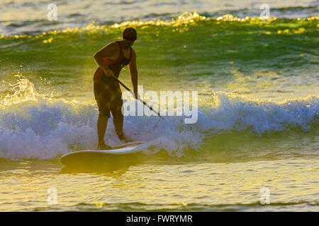 Surf a Maui Foto Stock