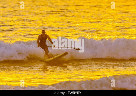 Stand Up Paddle surf Hawaii Maui Foto Stock