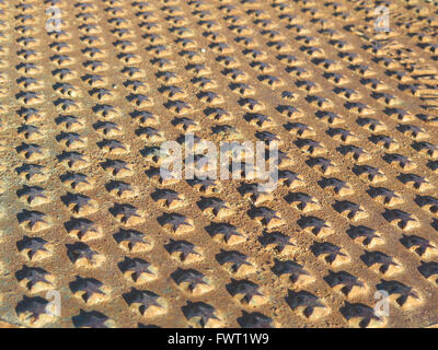 Close-up di ghisa stelle su chiusino a Alora street Andalucia Foto Stock