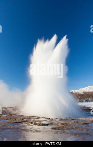 Eruzione di Strokkur, fontana geyser nell'area geotermale accanto al fiume Hvítá in inverno, Haukadalur, Sudurland, Islanda Foto Stock