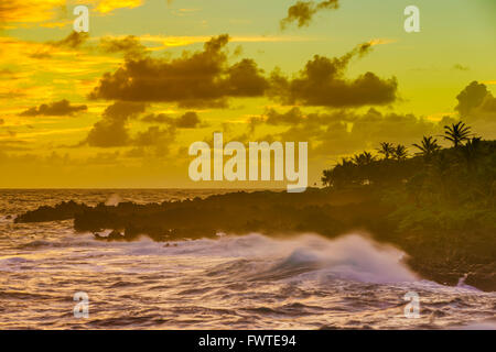 Le onde a Waianapanapa State Park, Maui Foto Stock