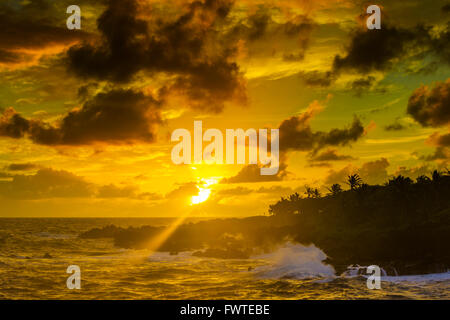 Le onde a Waianapanapa State Park, Maui Foto Stock