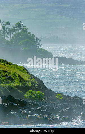 Vista costiera da Ho'okipa Beach Park, Maui Foto Stock