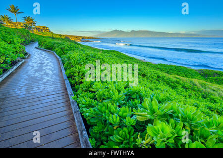 Passeggiata lungo la baia di Oneloa nell'area di Kapalua di Maui Foto Stock