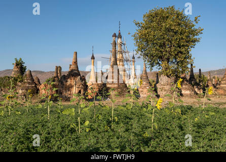 Antichi templi (stupa) di Sankar vicino Lago Inle, Birmania (Myanmar) Foto Stock