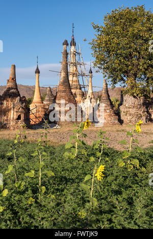 Antichi templi (stupa) di Sankar vicino Lago Inle, Birmania (Myanmar) Foto Stock