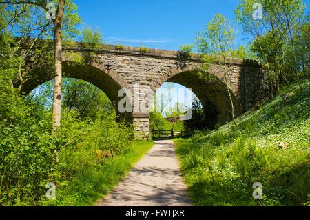 Stainmore stazione ferroviarie dismesse, trackbed Smardale viadotto. Smardale Gill Riserva Naturale Nazionale, Eden Valley, Cumbria, Regno Unito. Foto Stock