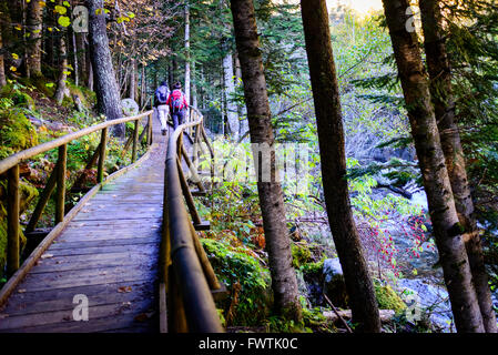 Due escursionisti a piedi lungo un piede legno ponte nella foresta. Foto Stock