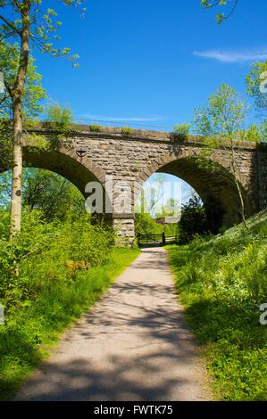 Stainmore stazione ferroviarie dismesse, trackbed Smardale viadotto. Smardale Gill Riserva Naturale Nazionale, Eden Valley, Cumbria, Regno Unito. Foto Stock