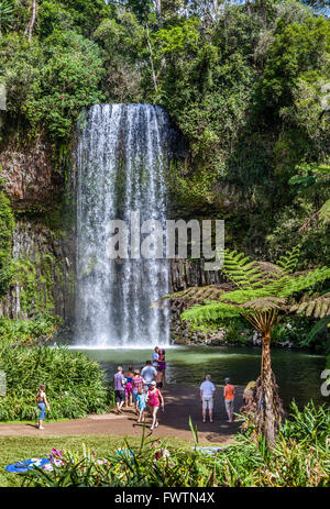 L'Australia del Queensland del Nord, Atherton altipiano, Millaa Millaa Falls Foto Stock