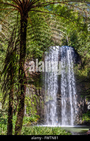 L'Australia del Queensland del Nord, Atherton altipiano, Millaa Millaa Falls Foto Stock