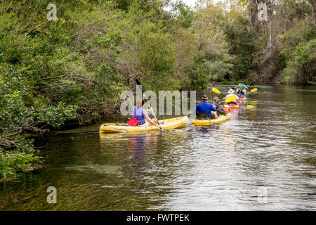 Persone kayaking sul Weeki Wachee Fiume Springs State Park Florida Noleggio kayak da Paddling Adventures Foto Stock