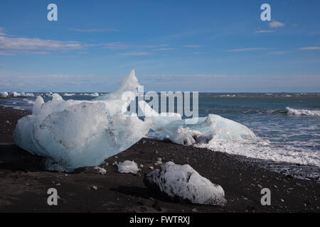 Pezzi di ghiaccio da un ghiacciaio arenati su una spiaggia di lava in Islanda Foto Stock