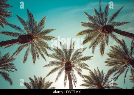 Gli alberi di palma, beverly hills, los angeles,rodeo drive,l'estate,vintage,SKY,natura,naturale,corona-simili Foto Stock