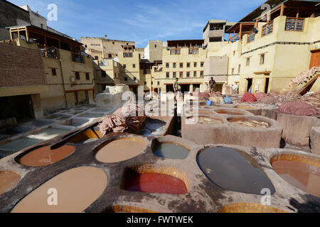 Bacini di vernice in Fes concerie, Fes, Marocco Foto Stock