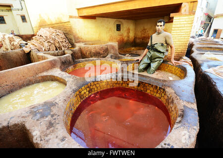 Bacini di vernice in Fes concerie, Fes, Marocco Foto Stock