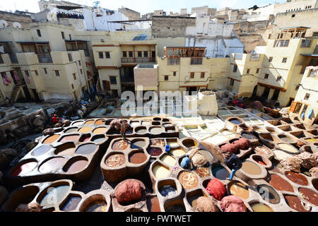 Bacini di vernice in Fes concerie, Fes, Marocco Foto Stock