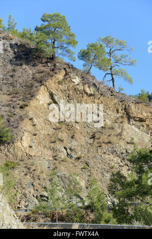 Calabrese Pini al di sopra di strada di montagna della foresta di Paphos, Cipro Foto Stock