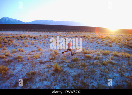 Montare il giovane atleta maschio trail runner in Sierra Nevada foothills al tramonto Foto Stock