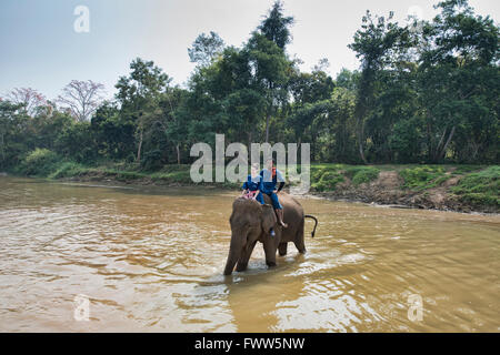 Attraversando il fiume di elefante in Thailandia del Nord Foto Stock