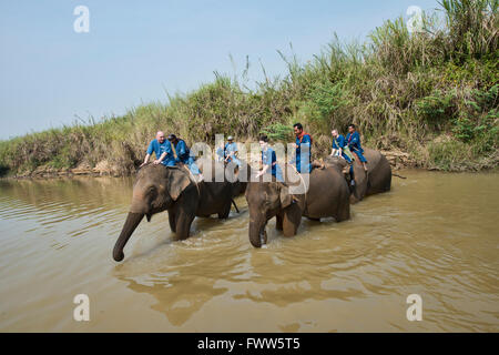 Attraversando il fiume di elefante in Thailandia del Nord Foto Stock