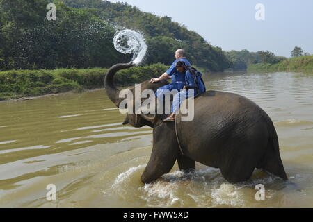 L'Elefante ed il turista a giocare nel fiume nel nord della Thailandia Foto Stock