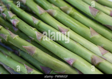 Freschi asparagi verdi macro materie - cibo closeup Foto Stock