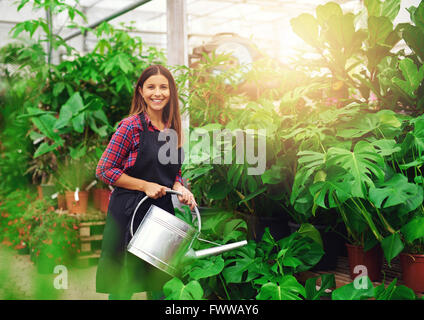 Giovane donna abbeveraggio Delicious Monster impianti per la vendita in un vivaio di tornitura di serra di sorridere alla telecamera , incandescente mattina Foto Stock