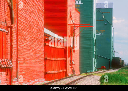 Prairie elevatori delle granaglie e la ferrovia via, Stavely, Alberta, Canada Foto Stock