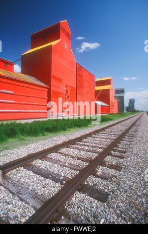 Prairie elevatori delle granaglie e la ferrovia via, Stavely, Alberta, Canada Foto Stock