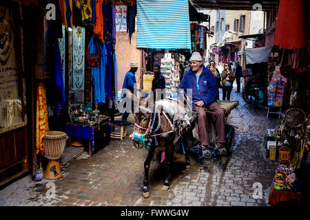 Un uomo a cavallo di un asino e carrello attraverso la medina di Marrakech, Marocco, Africa del Nord Foto Stock