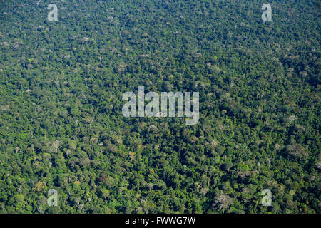 La foresta pluviale amazzonica tra Itaituba e Trairão, vista aerea, Pará, Brasile Foto Stock