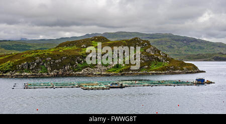 Pesce salmone farm in una baia presso la costa scozzese, Sutherland county, Scotland, Regno Unito Foto Stock