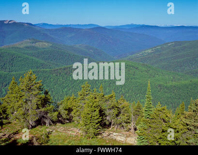 Percell montagne sopra seventeenmile creek valley visto dal flatiron montagna vicino a yaak, montana Foto Stock