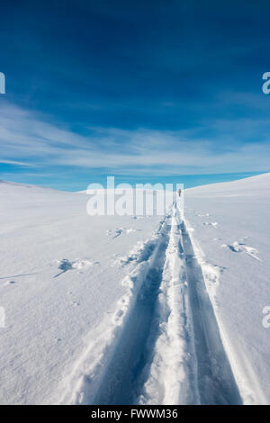 Lo sci attraverso l'artico Foto Stock