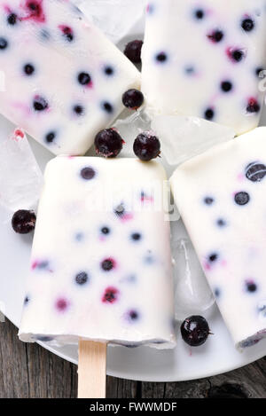 Ice Cream pop provenienti da frozen yogurt e ribes nero Foto Stock