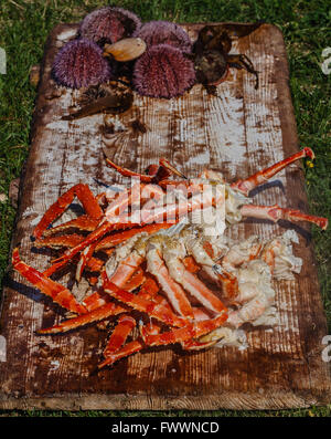 Appena cotti gambe di un rosso granchio reale a crudo con ricci di mare e le capesante su sfondo Foto Stock