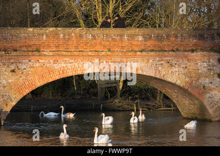 La tramvia ponte che attraversa il fiume Avon che collega Bancroft giardini con la massa di ricreazione in Stratford Upon Avon, Inghilterra. Foto Stock