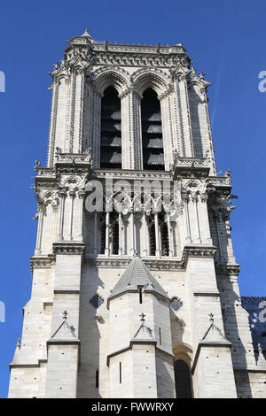La Francia. Parigi. Cattedrale di Notre Dame. Inizio gotico. Il XIII secolo. Torre. Foto Stock