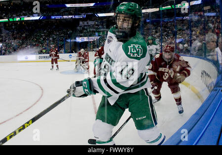 Tampa, Florida, Stati Uniti d'America. 7 apr, 2016. DIRK SHADD | Orari .North Dakota Fighting Hawks avanti Shane Gersich (19) funziona per giocare il puck lungo le schede contro il Denver pionieri durante il secondo periodo di azione di gioco due congelati quattro semifinali a Amalie Arena il giovedì (04/07/16) © Dirk Shadd/Tampa Bay volte/ZUMA filo/Alamy Live News Foto Stock