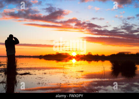 Marshside RSPB riserva, Southport, Merseyside, Regno Unito. 8 Aprile, 2016. Un tramonto mozzafiato si pone al di sopra del nord-ovest dell'Inghilterra, appena in tempo per 'Ladies Day' presso il Grand National si incontrano a Eglinton, Liverpool. Credito: Cernan Elias/Alamy Live News Foto Stock