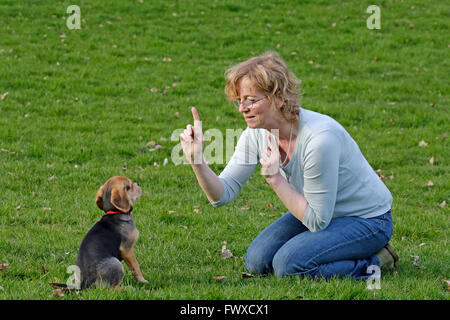 Donna con il suo piccolo cane Foto Stock