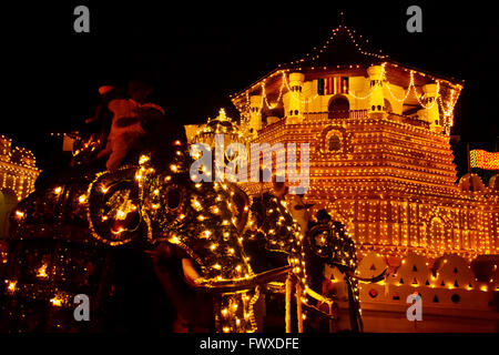 Processione di elefante passa dal tempio del Dente durante Kandy Esala Perahera, Kandy, Sri Lanka Foto Stock