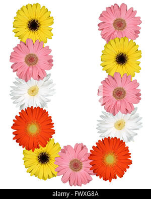 Lettera U alfabeto da fiori isolati su sfondo bianco Foto Stock
