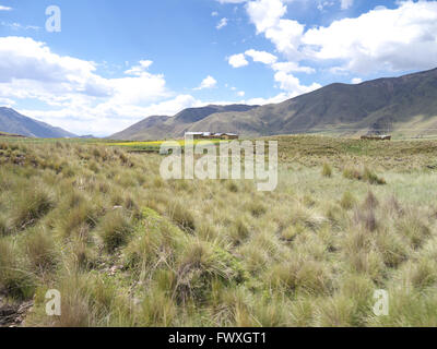 Scenario peruviana nelle alte montagne andine dal comfort dei Paesi Andini Explorer express treno Cusco a Puno. Foto Stock