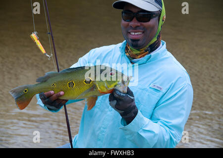 Un pescatore che solleva un gigante farfalla pavone basso catturati su una spina nella acque della laguna off il colombiano Cano Bocon fiume. Foto Stock
