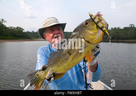 Un pescatore che solleva un gigante farfalla pavone basso catturati su un chopper-spina tipo laguna nelle acque al largo della Colombia Fiume Bocon. Foto Stock