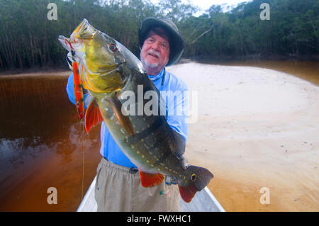 Un pescatore che solleva un gigante peacock bass catturati su un chopper-spina tipo tinto in acque della laguna off il colombiano Cano Bocon (fiume). Foto Stock