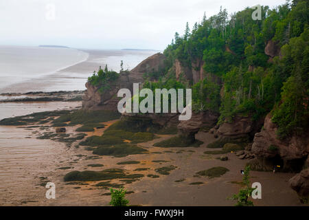 Vista di Hopewell rocce nella Baia di Fundy Foto Stock