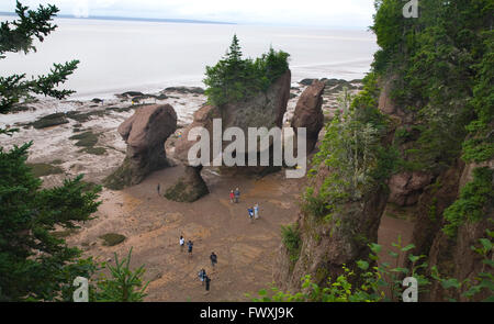 Vista di Hopewell rocce nella Baia di Fundy Foto Stock